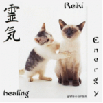 cat:healing